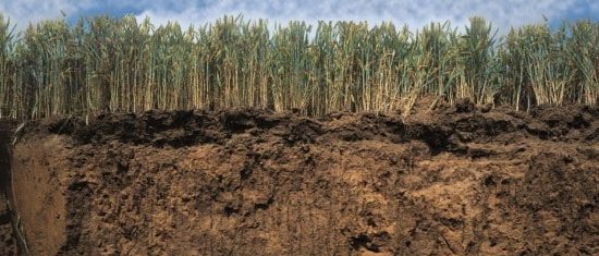 RESTAURER LA SANTE DES SOLS par la formation d&rsquo;humus