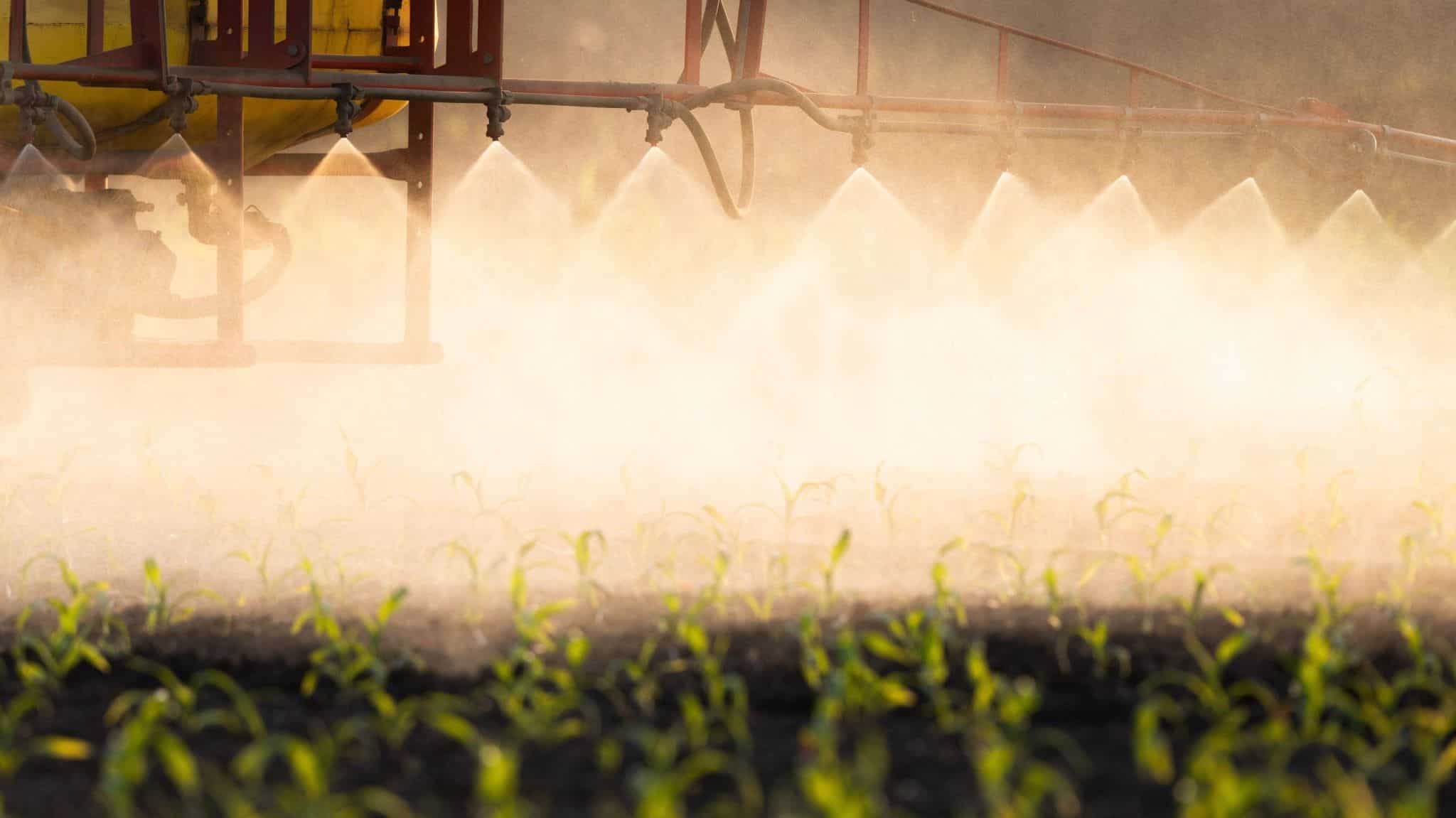 Journée internationale des engrais : un élan pour l&rsquo;agriculture durable 🌍